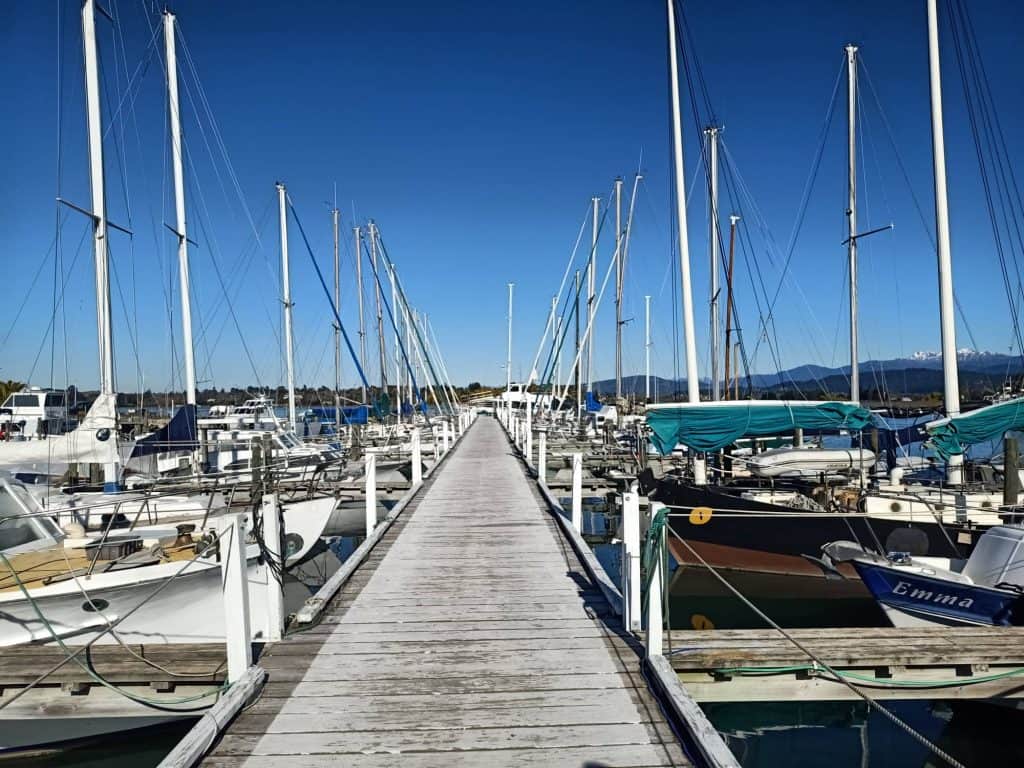 View of boats on either side of a floating Jetty in Motueka marina