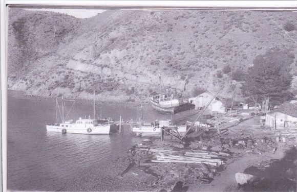 Wakatahuri with the Valmarie tied to the wharf