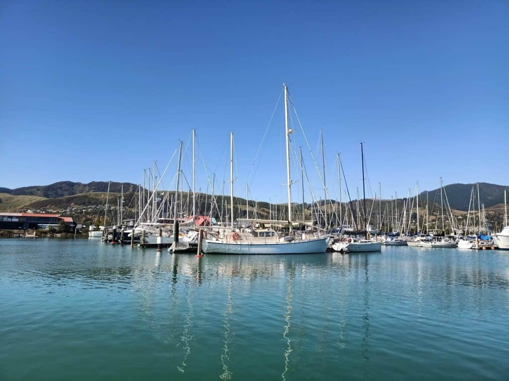 View boats in Nelson Marina. A large yacht is in the foreground.