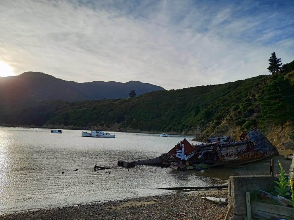 View of the bay at Wakatahuri with the wreck Tiroa in the foreground and two other boats on moorings.