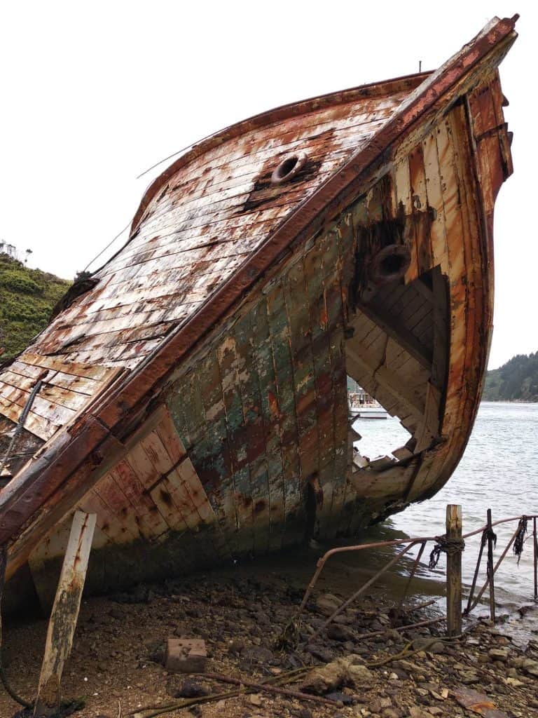 Colour image of the bow of a Tiroa. The boat is very deteriorated and has large sections of the hull missing