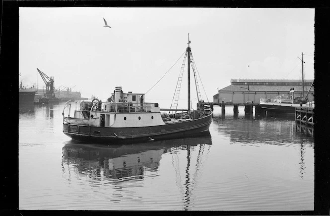 black and white image of the scow paroto with her sails down in Wellington Harbour.