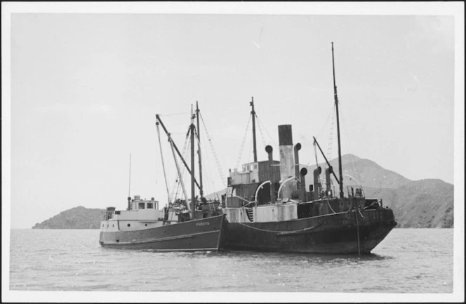 Black and white image of the large vessel Totara travelling with Paroto tied to her side.