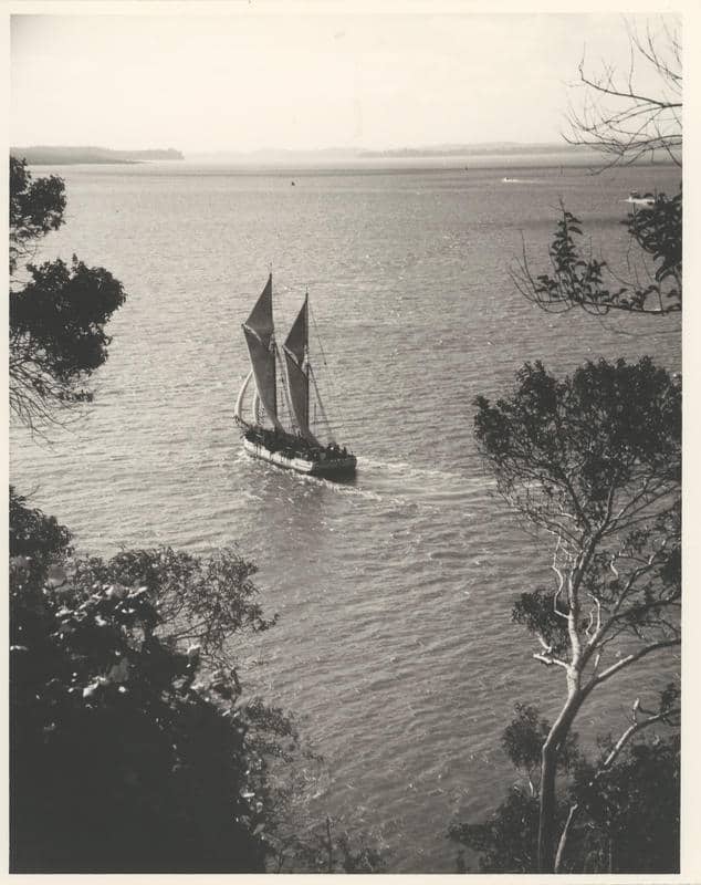 Black and white image of the scow Owhiti under sail. Seen from above the ship is framed by trees.