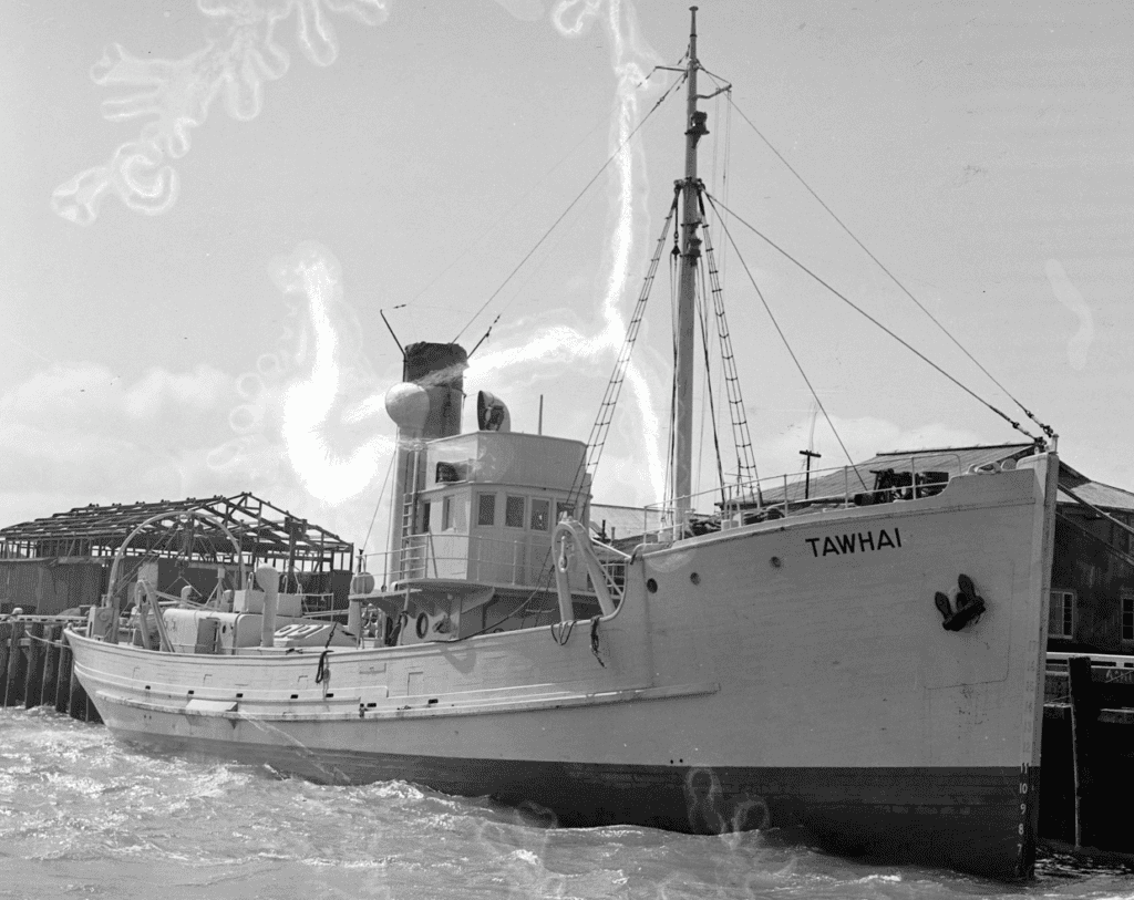 Black and white image of the castle-class minesweeper Tawhai seen from the side.