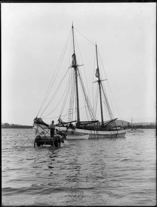 Black and white image of the scow Kaiaia moored in shallow water with a horse and cart in front of her.